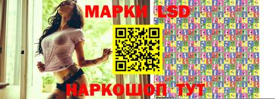 Альфа ПВП Новодвинск