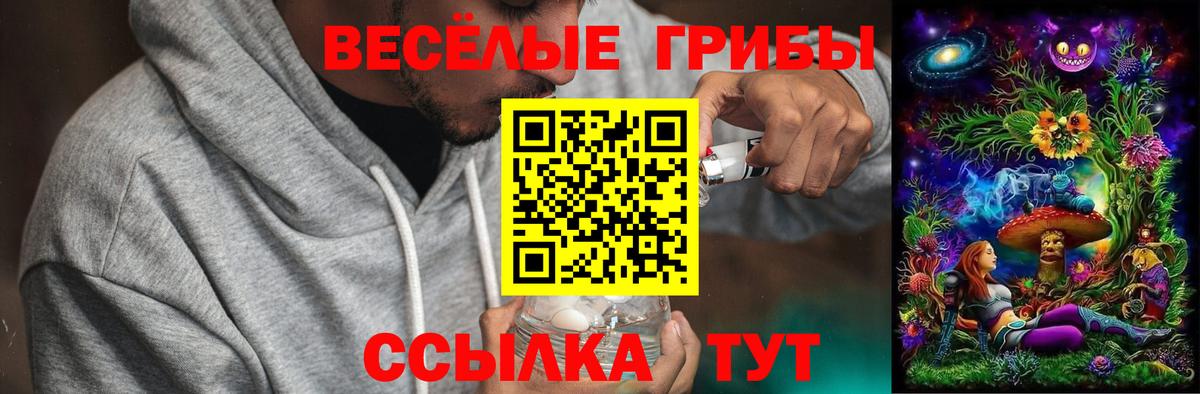 Псилоцибиновые грибы Magic Shrooms Тихорецк