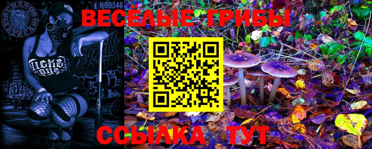 Галлюциногенные грибы ЛСД  Псилоцибиновые грибы Psilocybe  Вход с VPN  Тихорецк 